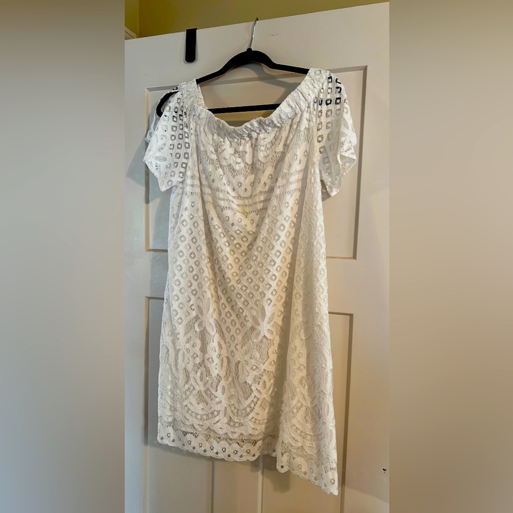 Sweet and sexy lace dress by Kari Blue XL